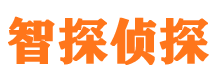 龙文侦探公司